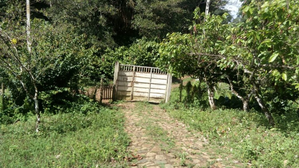 Pequena Fazenda para Plantação de Cacau em Ilhéus, Bahia