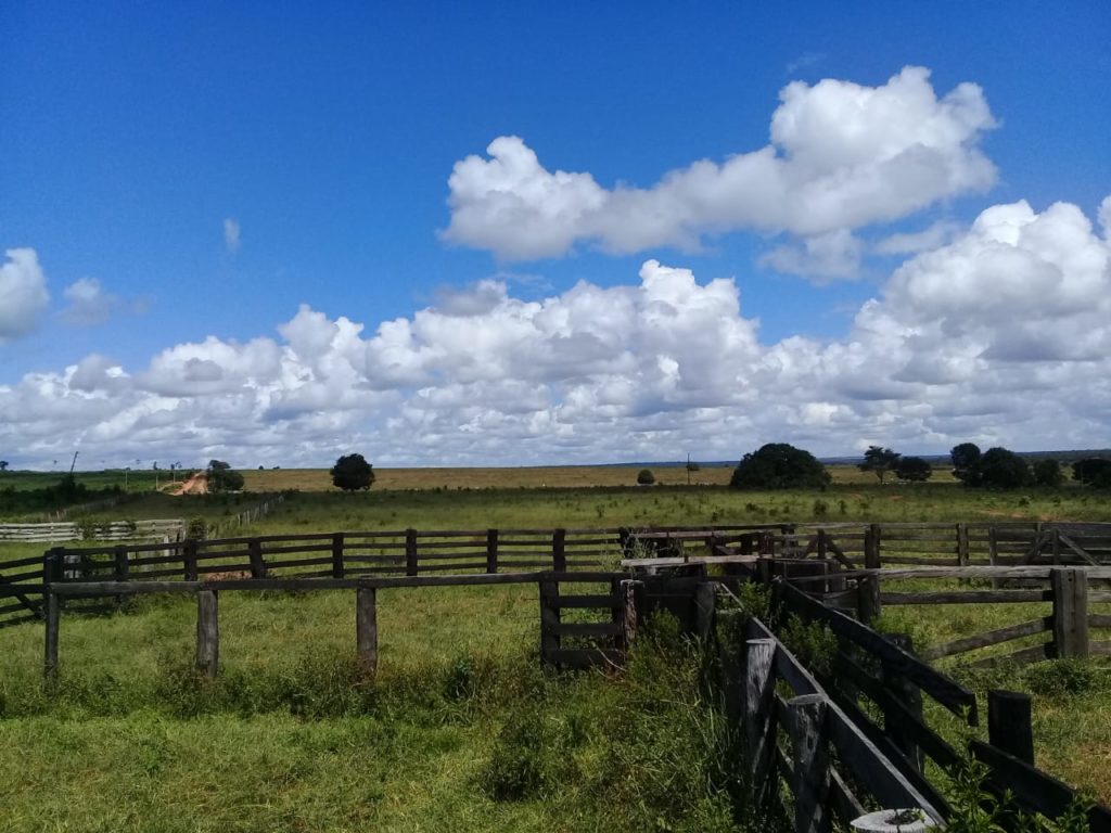 Fazenda de 1200 Hectares em Mato Grosso, Brasil – Terra de Primeira para Pecuária e Agricultura