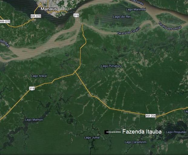 Fazenda na Amazônia, Próxima a Manaus