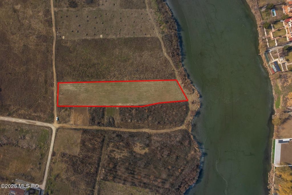 Teren de Vânzare – FN Bibescu Martha, Mogoșoaia, București 077135