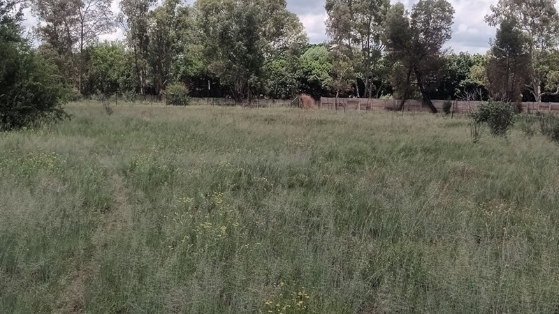 5000 m² Plaasgrond te Huur in Tedderfield, Eikenhof