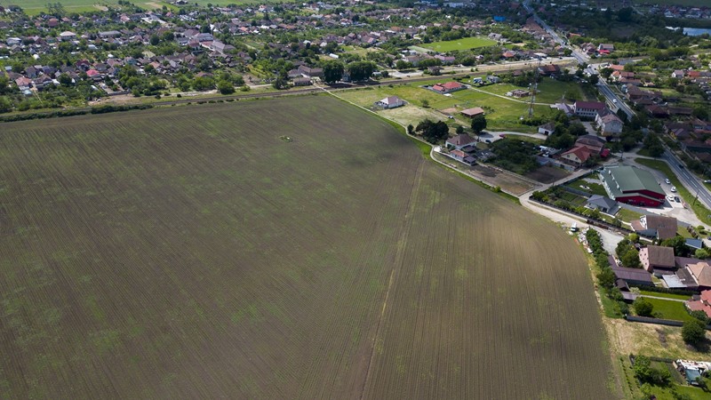 Teren Extins pentru Dezvoltare în Zimandu Nou – 17.226 mp