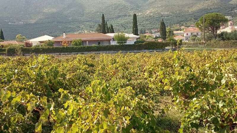 Πωλείται οικόπεδο 4.048 τ.μ. – Αλύκες Ζακύνθου, 1.400 μ. από θάλασσα