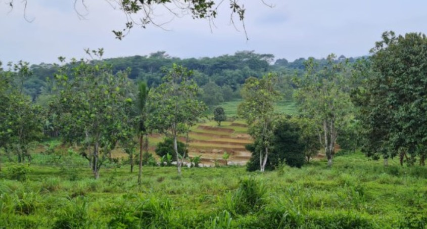 Kavling Residensial 10 Hektar di Mekarsari, Bogor